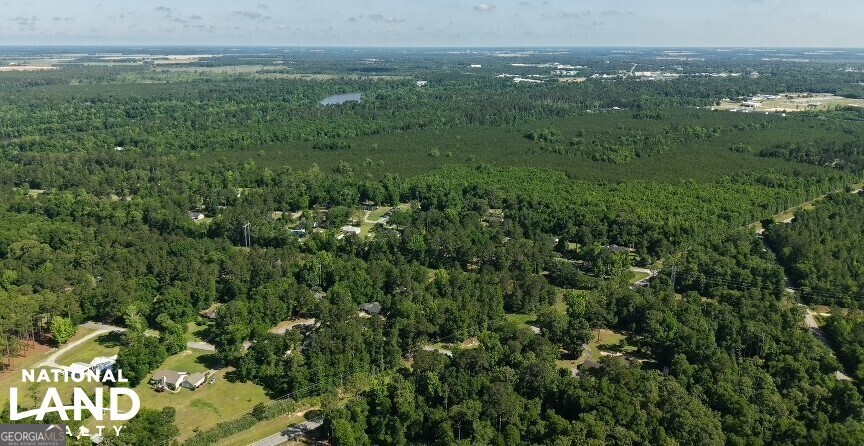 0 Highway 97, Unit TRACT A Bainbridge, GA 39819 - Photo 4 of 12 a view of a green field with lots of bushes