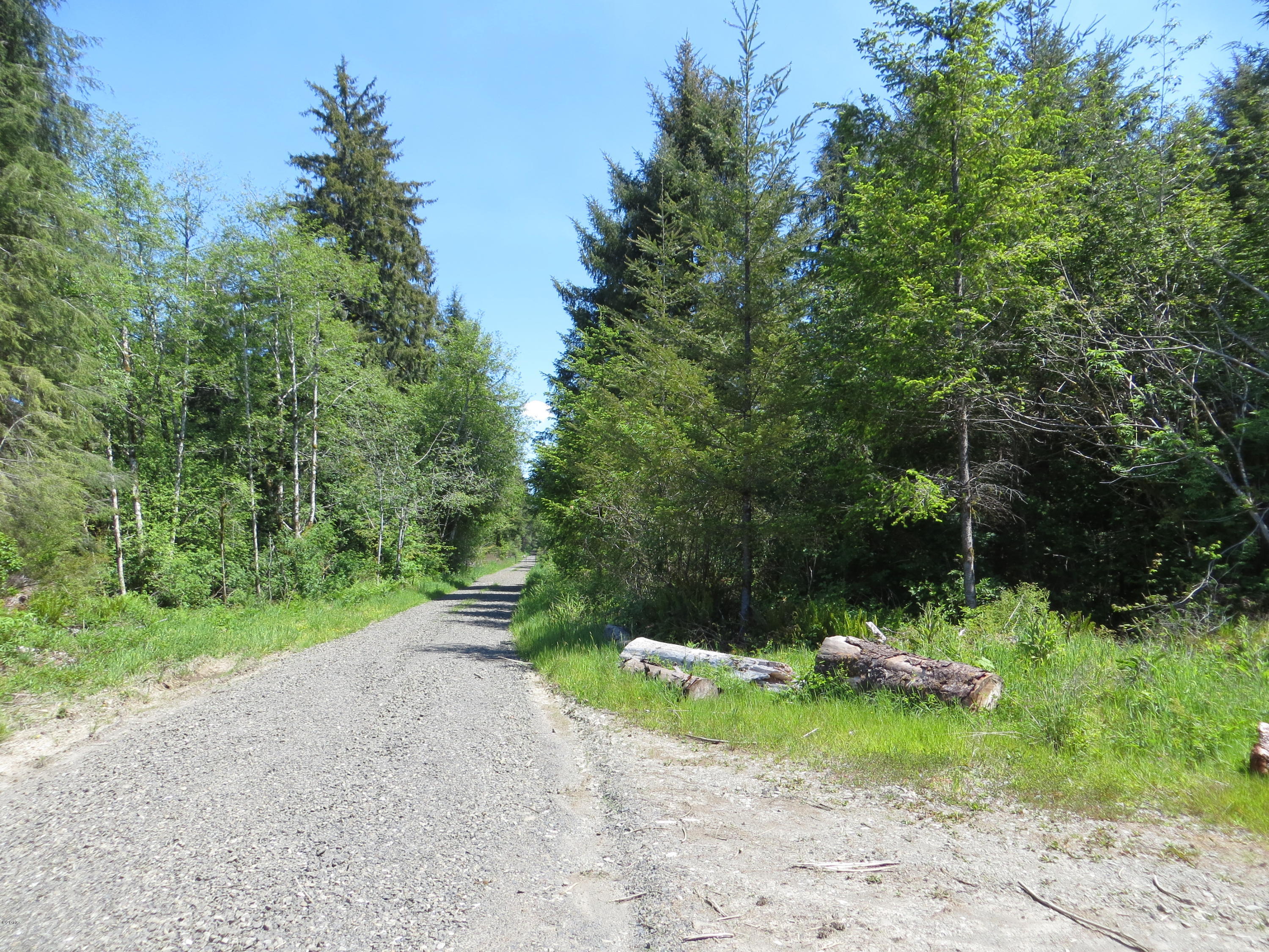Lot 15 Hamer Road Siletz, OR 97380 - Photo 20 of 23 Hamer Rd