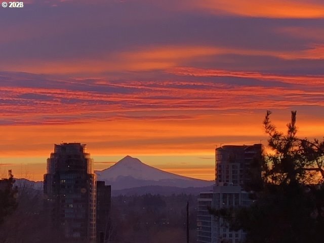 3473 Southwest Barbur Boulevard, Unit 10 Portland, OR 97239 - Photo 32 of 37