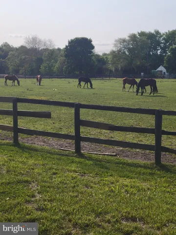 a view of a park that has a sign board