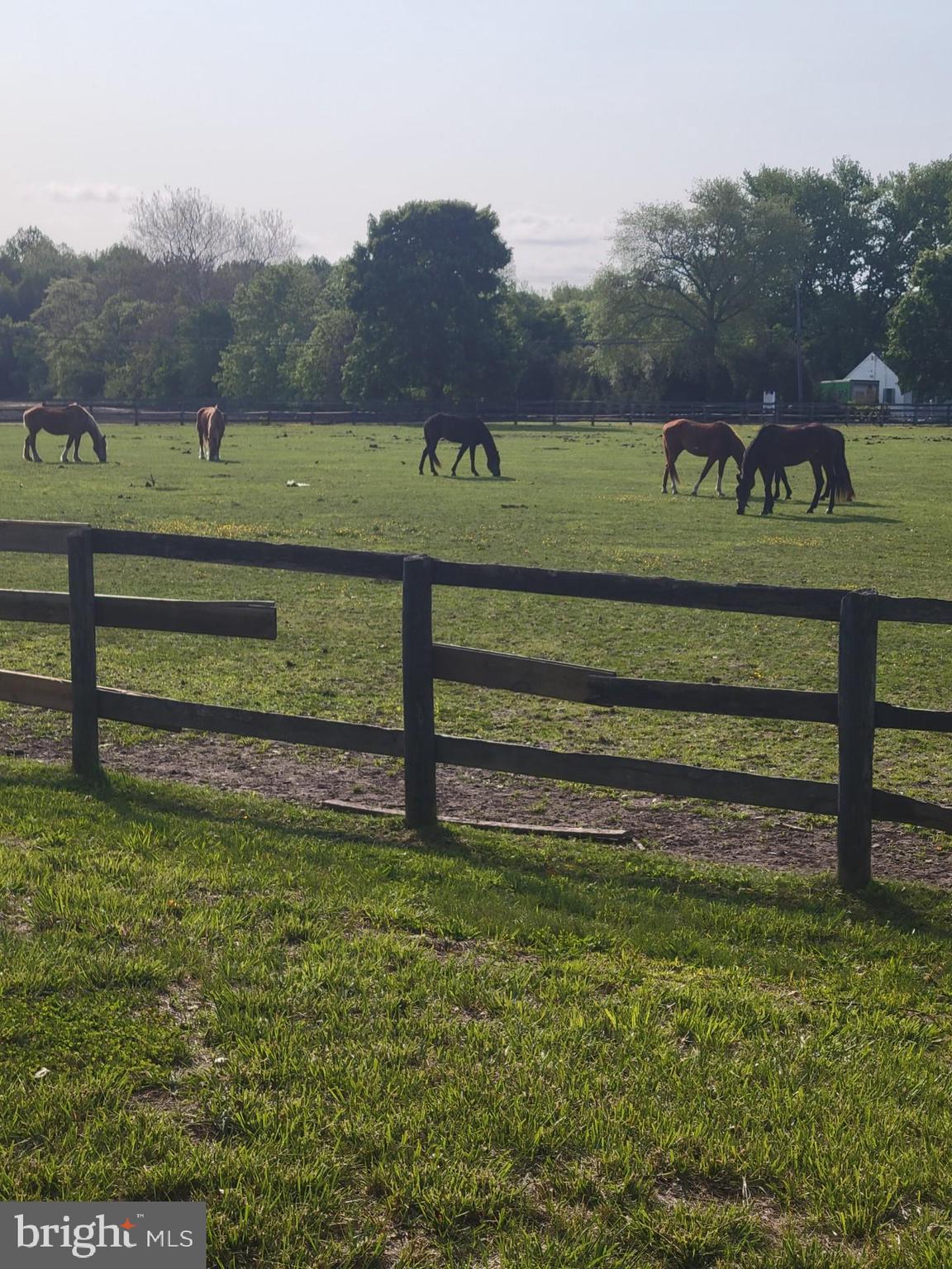 149 Brindletown Road New Egypt, NJ 08533 - Photo 1 of 29 a view of a park that has a sign board