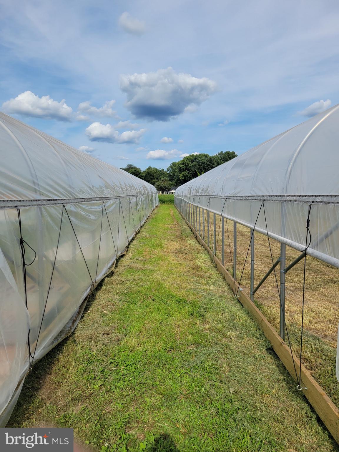 149 Brindletown Road New Egypt, NJ 08533 - Photo 16 of 29 a view of swimming pool