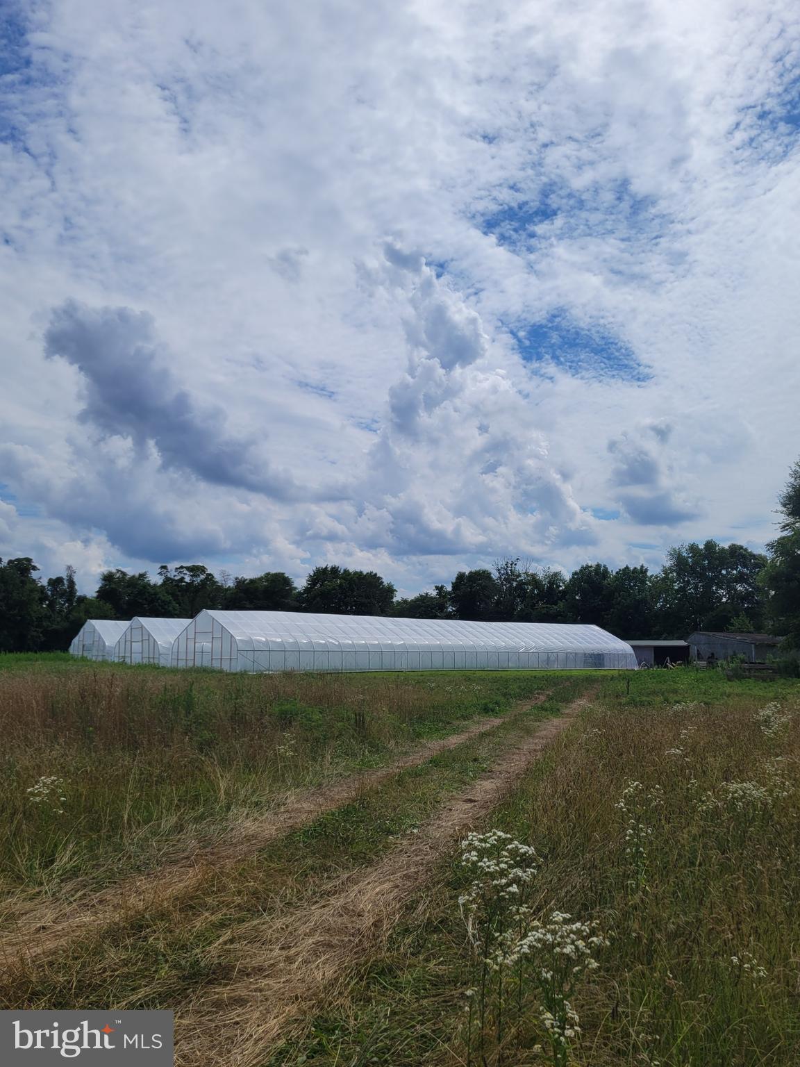 149 Brindletown Road New Egypt, NJ 08533 - Photo 17 of 29 a view of outdoor space and lake