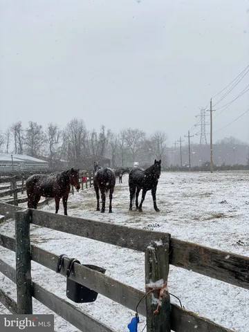 a view of a terrace with wooden benches