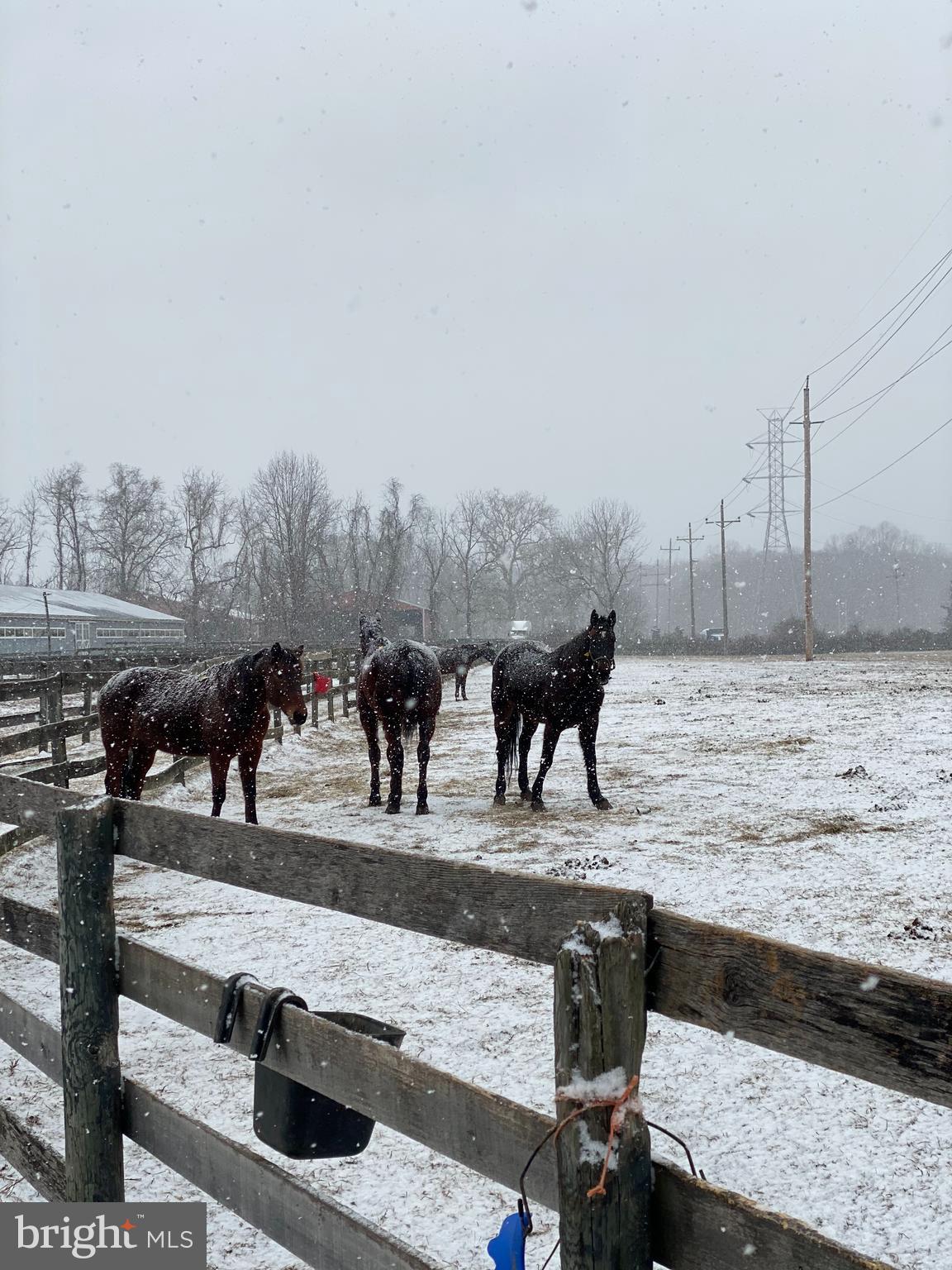 149 Brindletown Road New Egypt, NJ 08533 - Photo 2 of 29 a view of a terrace with wooden benches