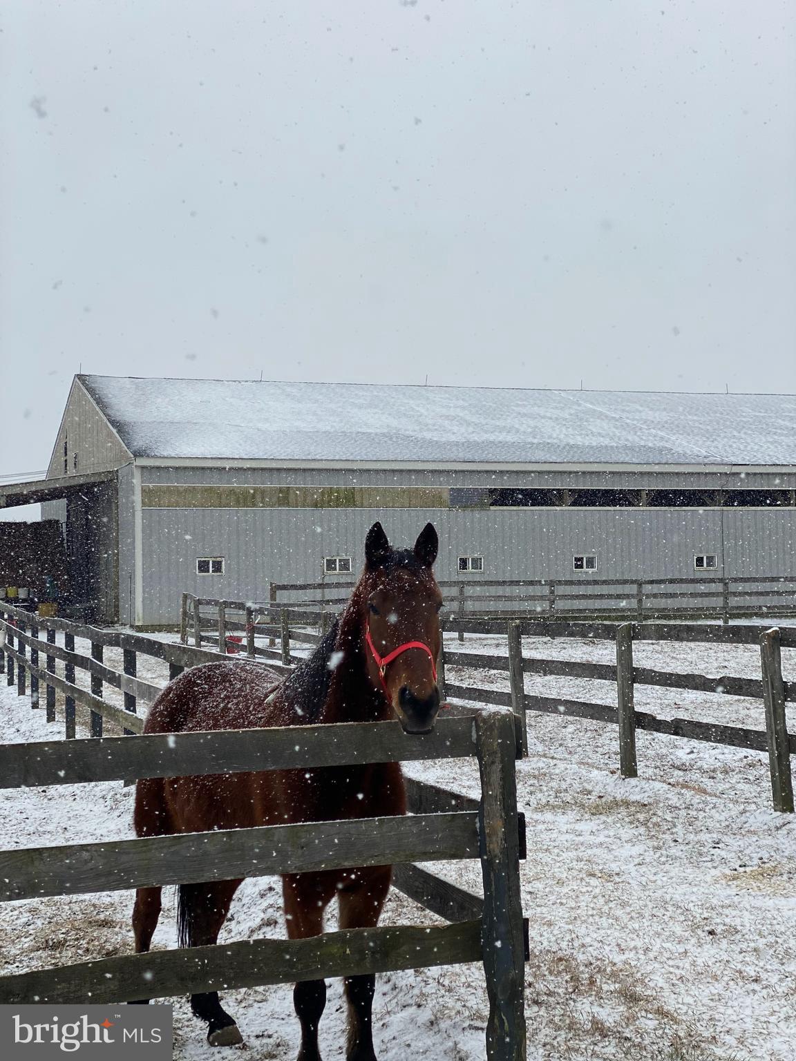 149 Brindletown Road New Egypt, NJ 08533 - Photo 3 of 29 a view of outdoor seating