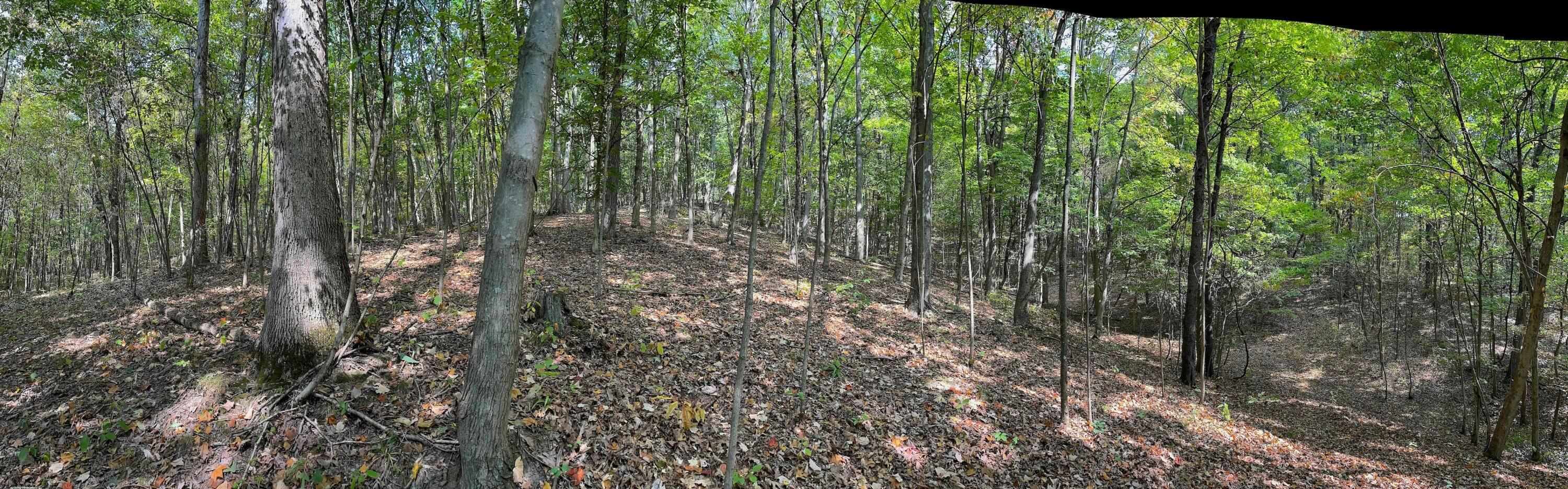 0 Porter Run Road Frankfort, OH 45628 - Photo 30 of 51 IMG_3246