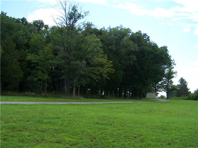525 Squire Jones Road Bell Buckle, TN 37020 - Photo 6 of 8