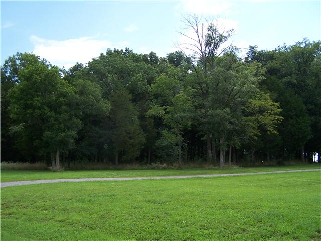 525 Squire Jones Road Bell Buckle, TN 37020 - Photo 8 of 8