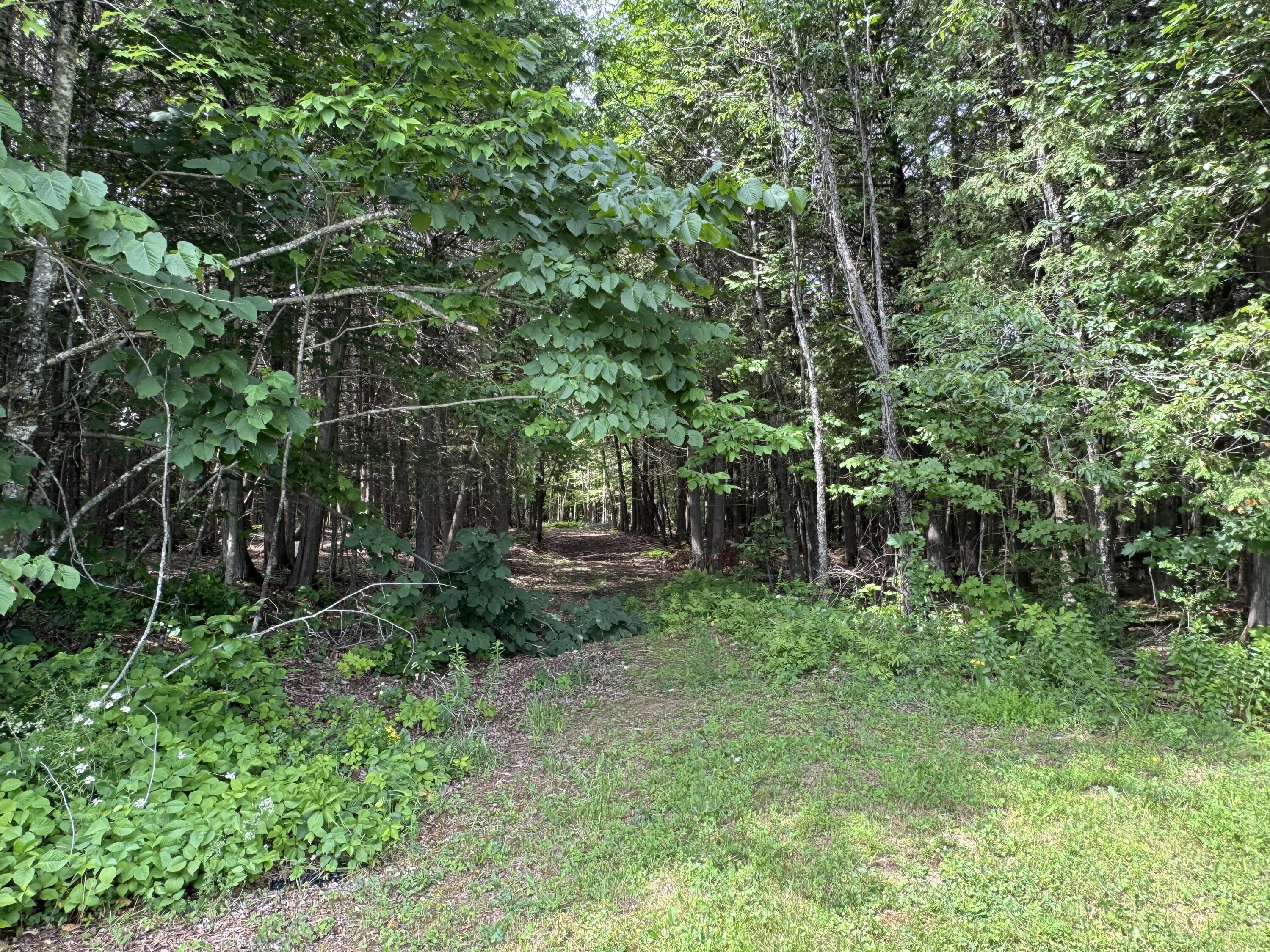 1698 Exeter Road Exeter, ME 04435 - Photo 38 of 42 Private Trails to Meander