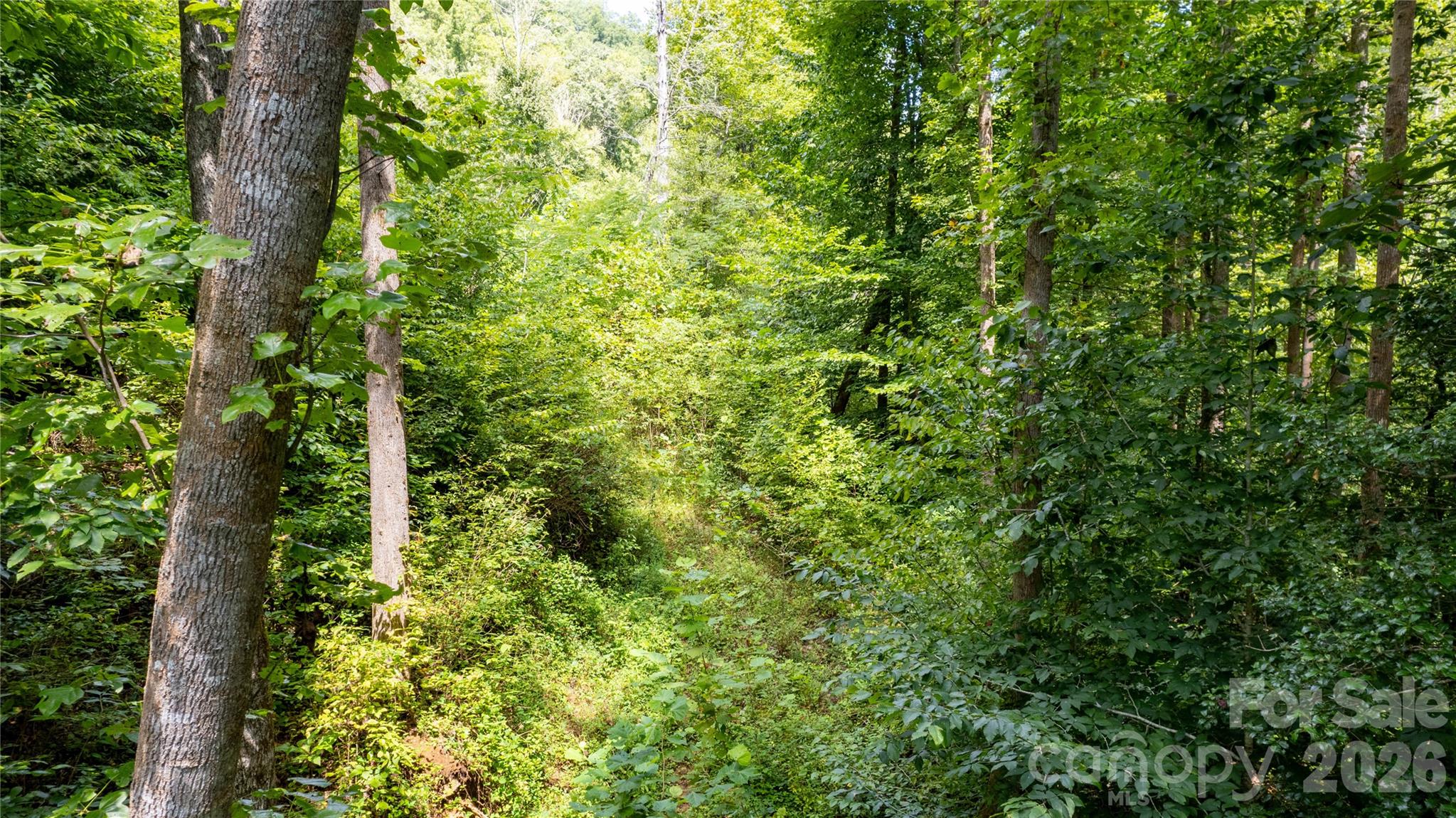 Tbd Tbd Collettsville Road, Unit 11 Collettsville, NC 28611 - Photo 11 of 34