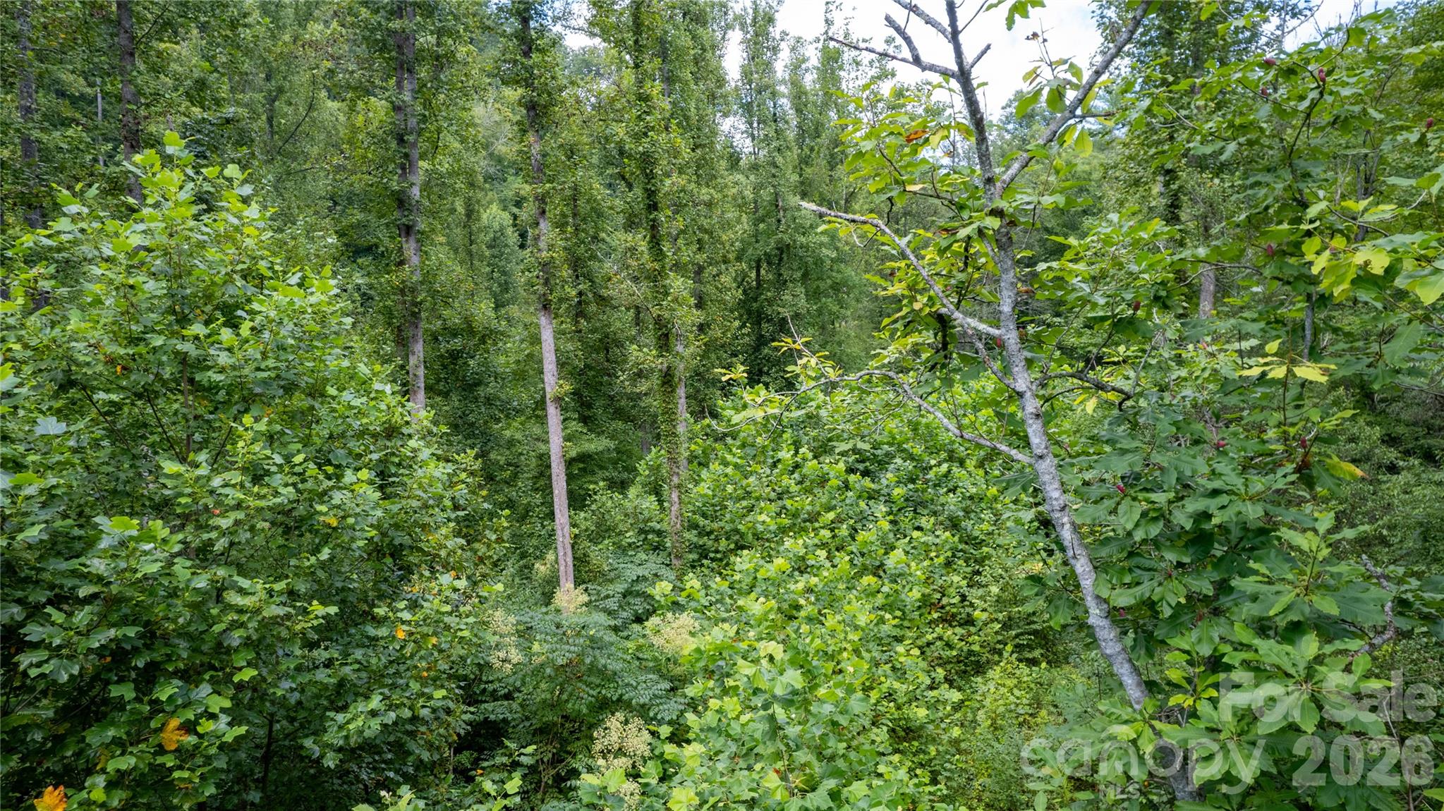 Tbd Tbd Collettsville Road, Unit 11 Collettsville, NC 28611 - Photo 12 of 34