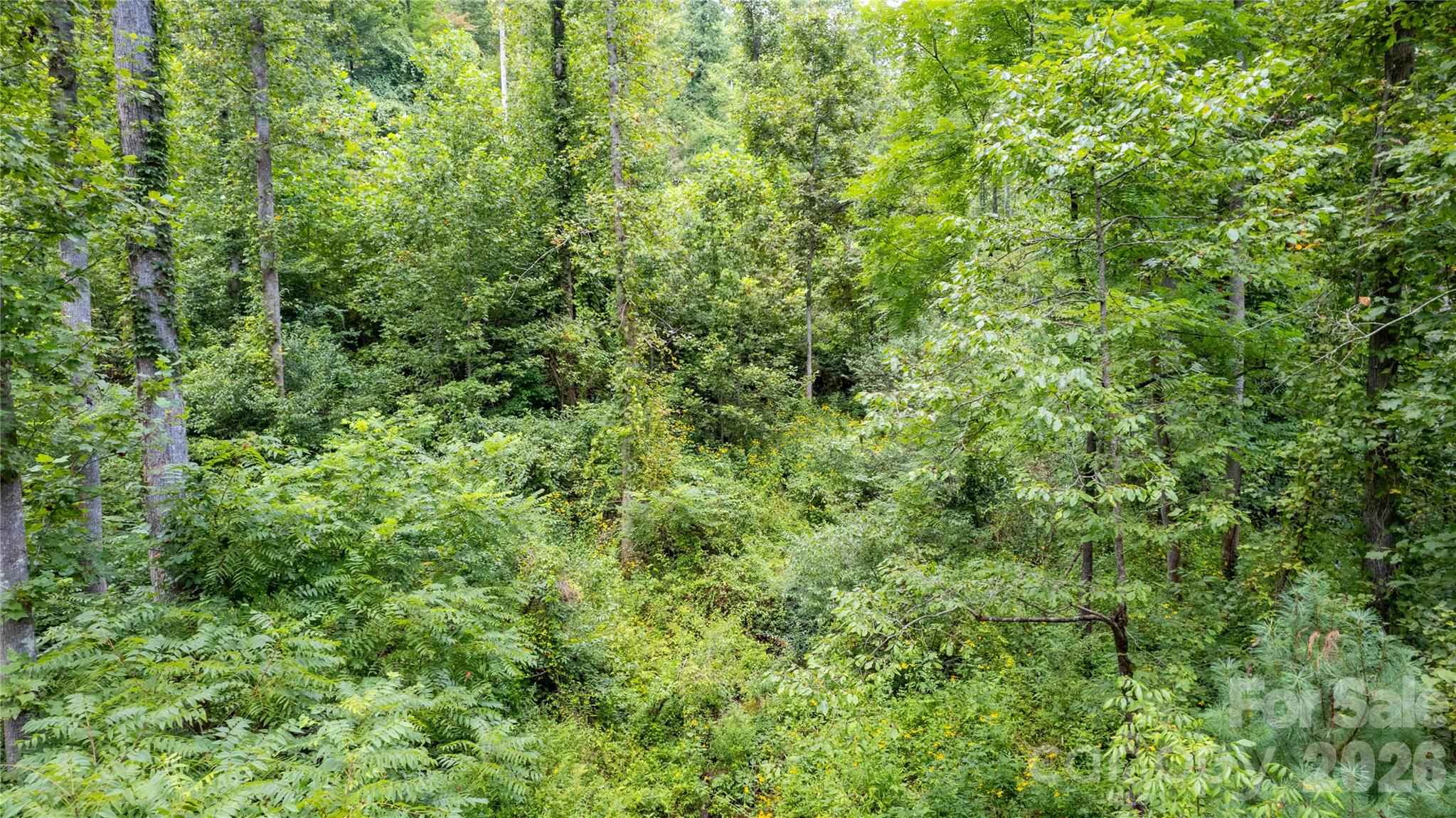 Tbd Tbd Collettsville Road, Unit 11 Collettsville, NC 28611 - Photo 13 of 34