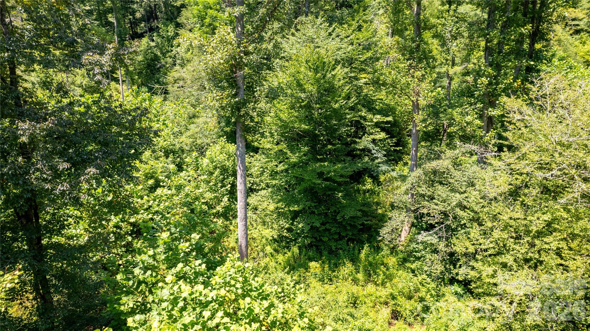 Tbd Tbd Collettsville Road, Unit 11 Collettsville, NC 28611 - Photo 14 of 34