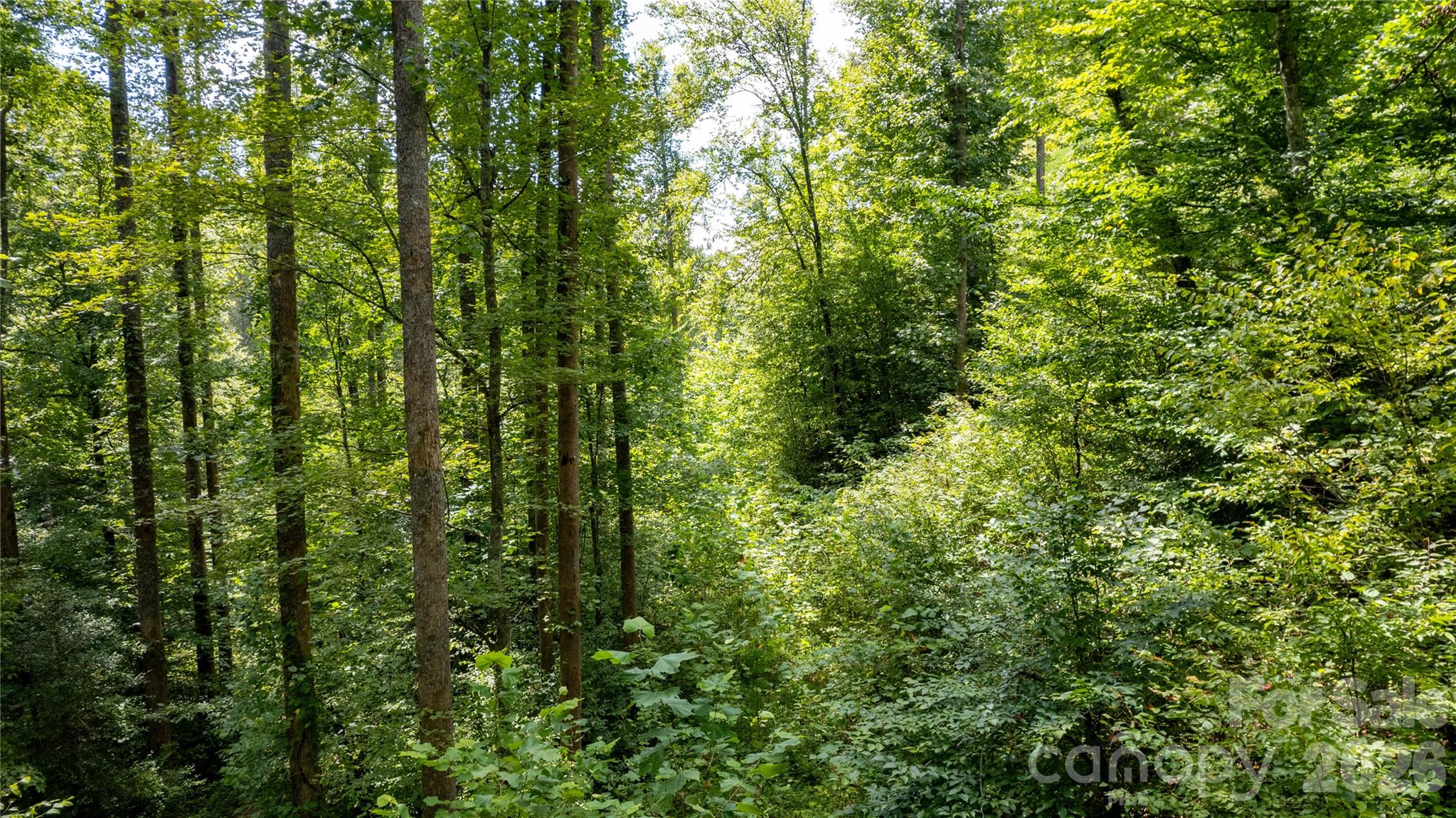 Tbd Tbd Collettsville Road, Unit 11 Collettsville, NC 28611 - Photo 6 of 34