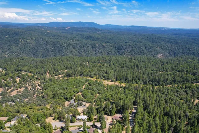 a view of a green field with lots of bushes