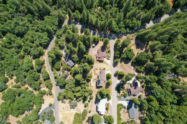 a view of a plant with a house