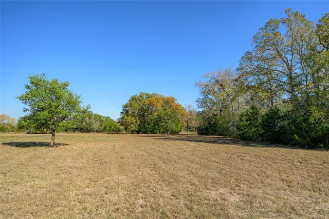 a view of a field with a tree in the background