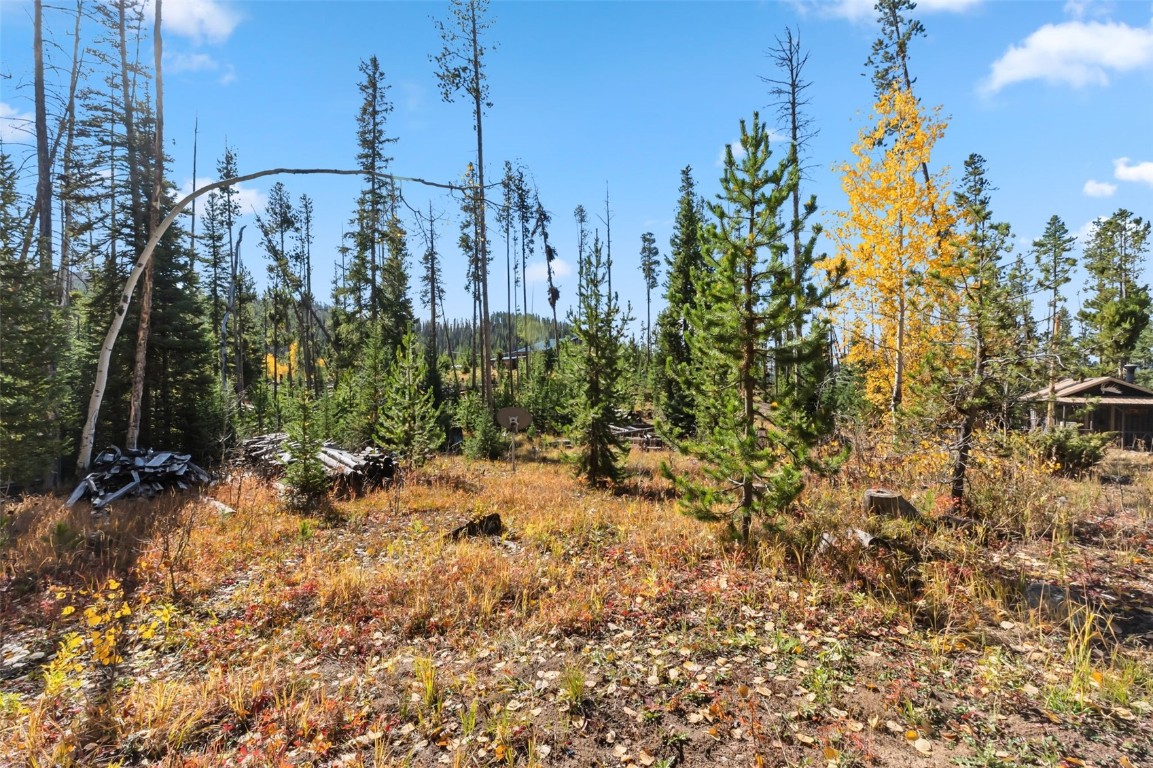 5364 Meadow Creek Road Tabernash, CO 80478 - Photo 20 of 30 a view of a covered with large trees