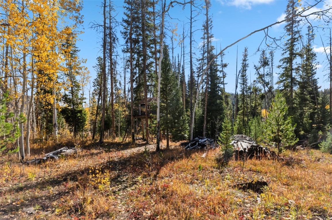 5364 Meadow Creek Road Tabernash, CO 80478 - Photo 21 of 30 a view of outdoor space with trees