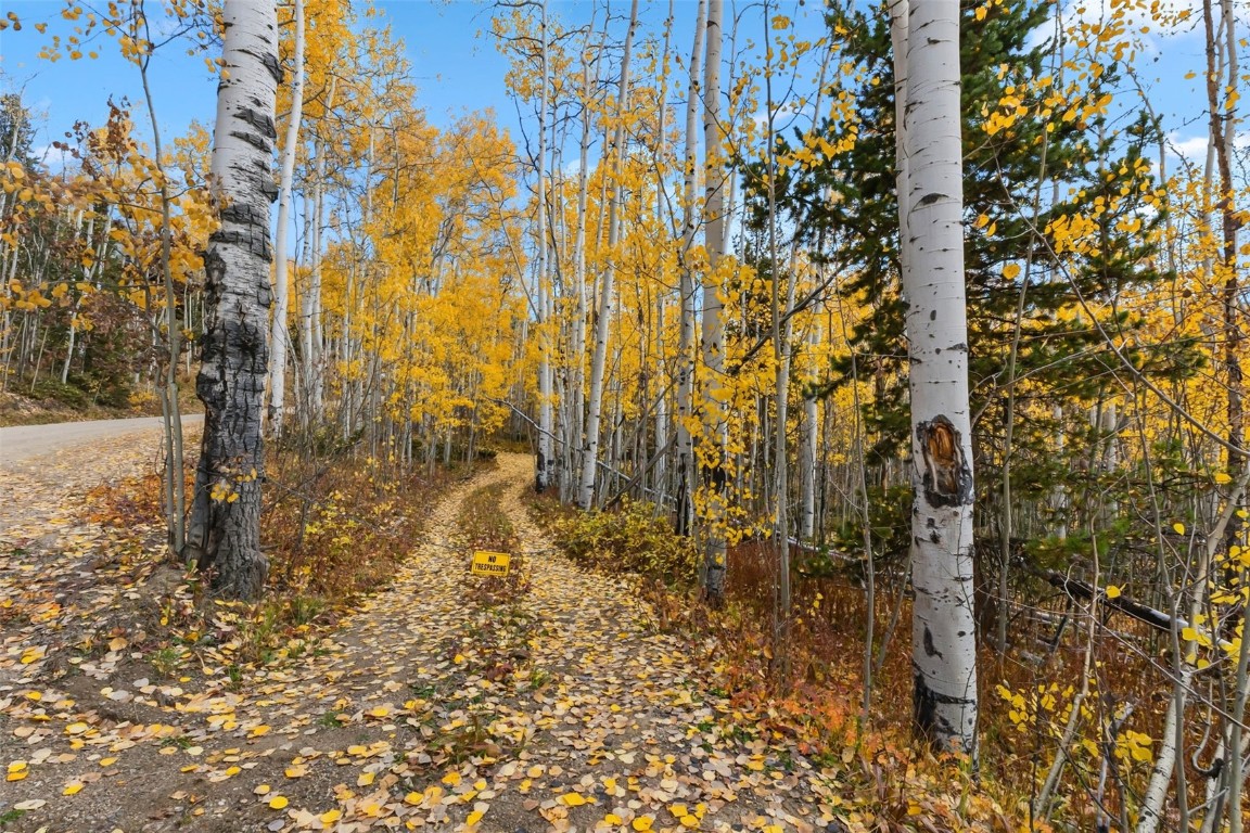 5364 Meadow Creek Road Tabernash, CO 80478 - Photo 22 of 30