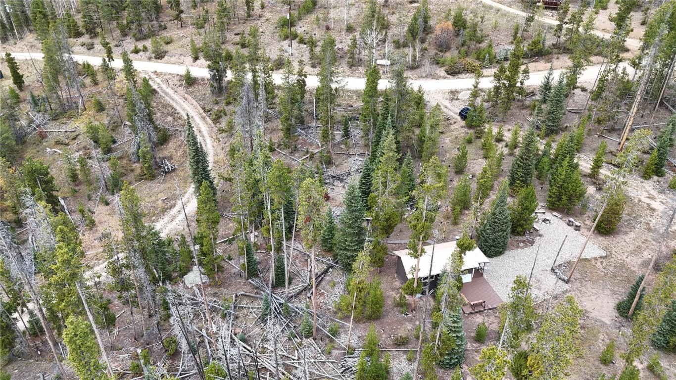 5364 Meadow Creek Road Tabernash, CO 80478 - Photo 26 of 30 a view of a forest with trees