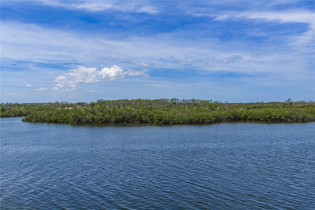 8150 Brent Street, Unit 725 Port Richey, FL 34668 - Photo 3 of 74