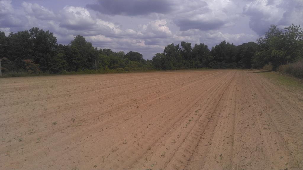 0 State Highway Slocomb, AL 36375 - Photo 1 of 4 Main View