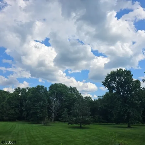 a view of a big yard with plants and a big yard