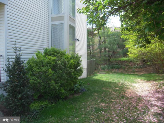 5478 Stavendish Street Burke, VA 22015 - Photo 2 of 30 a view of a yard with potted plants and large tree
