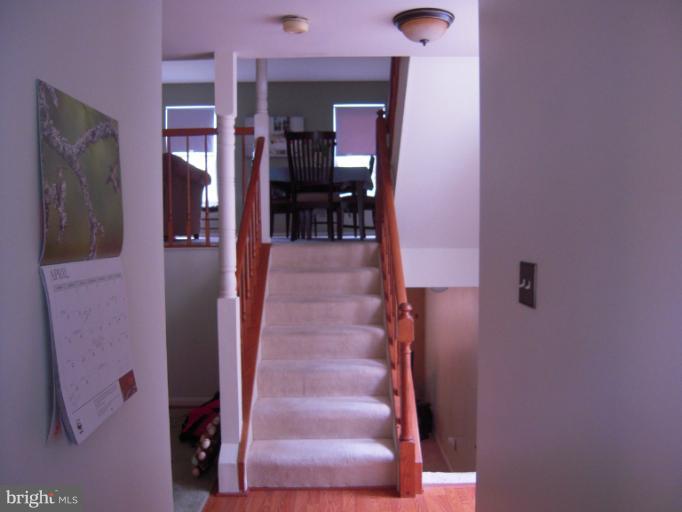 5478 Stavendish Street Burke, VA 22015 - Photo 15 of 30 a view of gallery