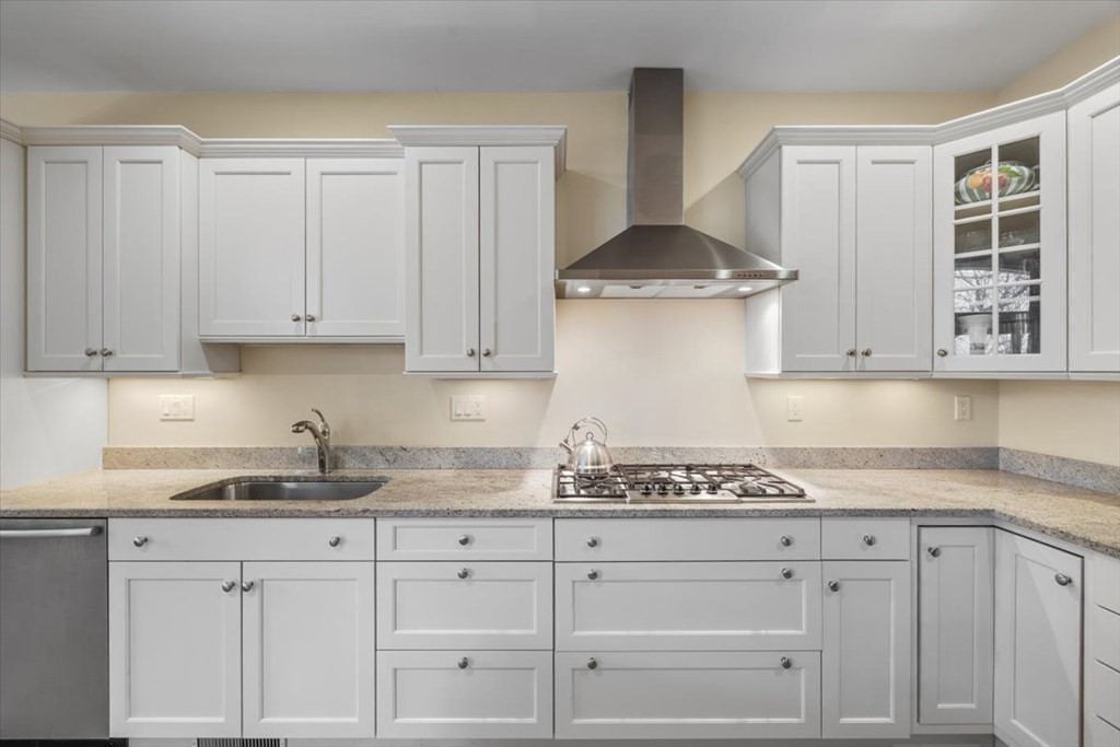 47 South Cottage Road, Unit 47 Belmont, MA 02478 - Photo 13 of 42 Gallery Image 13
