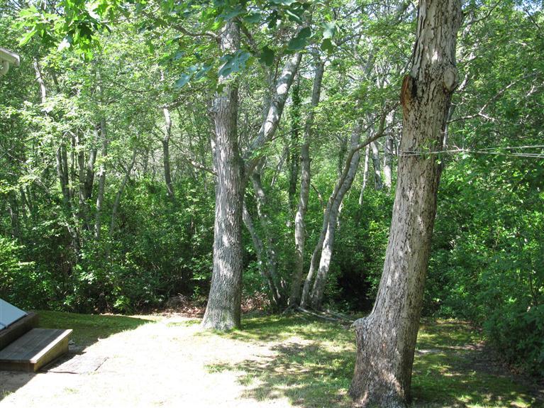 38 Barnard Road Dennis Port, MA 02639 - Photo 22 of 23 Additional Photo