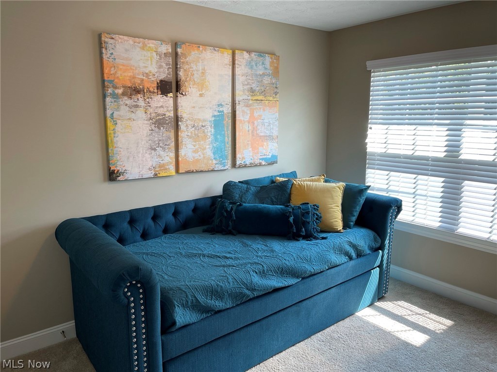 252 Miner Road Cleveland, OH 44143 - Photo 24 of 35 Gallery Image 24