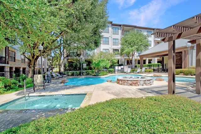 a view of a park with plants and large trees