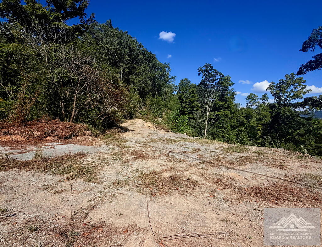 0 Country Girl Road Bluefield, WV 24701 - Photo 4 of 15 Gallery Image 4