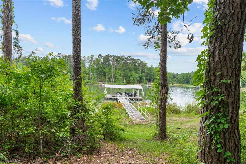 683 Calhoun Drive Abbeville, AL 36310 - Photo 4 of 52