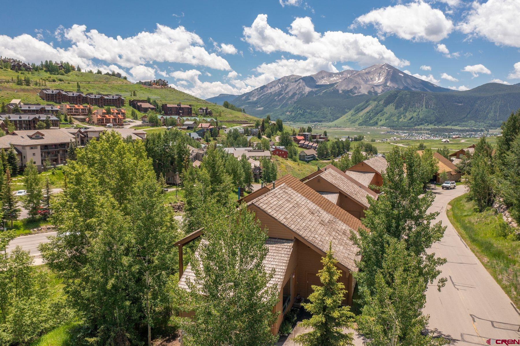121 Snowmass Road Crested Butte, CO 81225 - Photo 3 of 27 Gallery Image 3