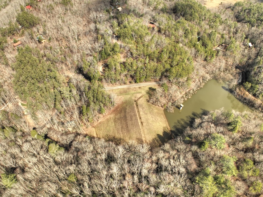 706 Laurel Ridge Drive Blue Ridge, GA 30513 - Photo 87 of 93