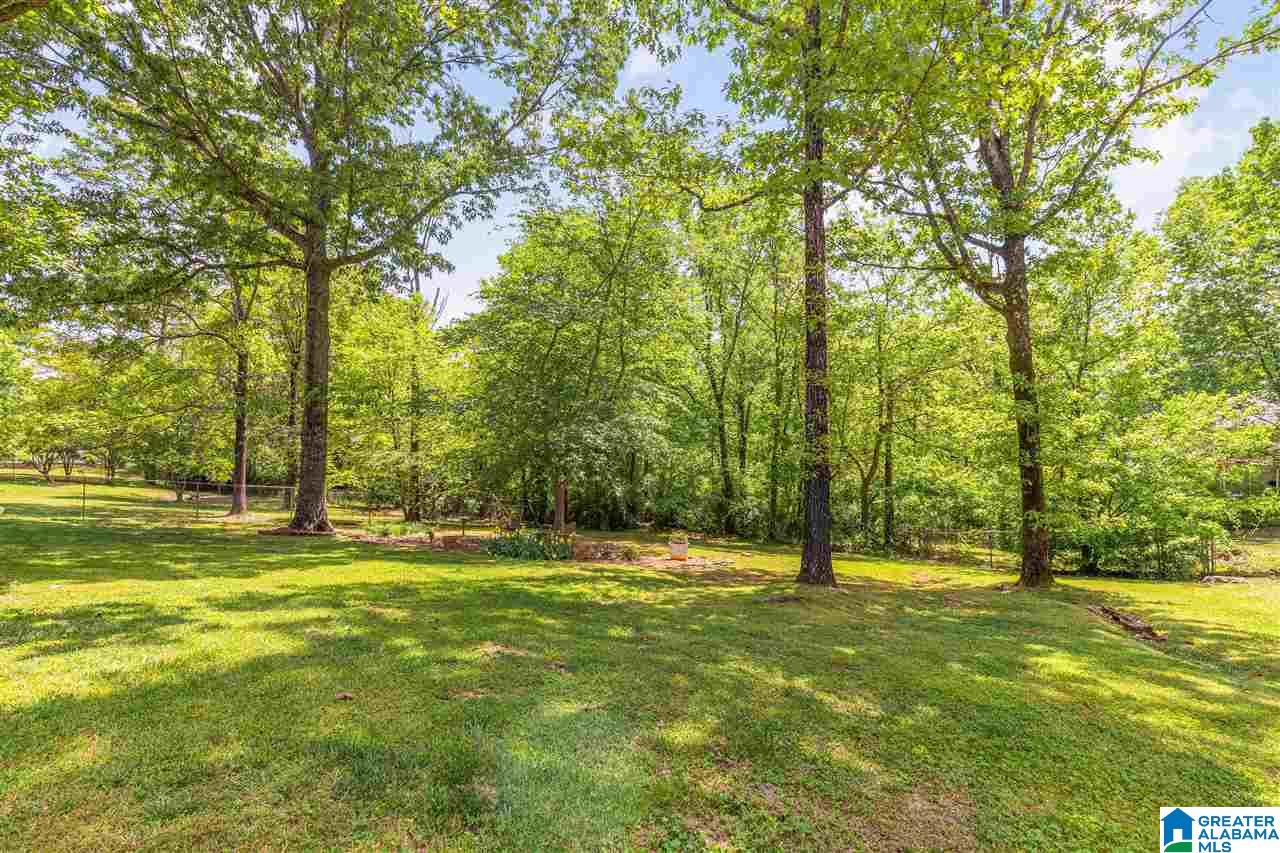 7455 Roper Tunnel Road Trussville, AL 35173 - Photo 21 of 22