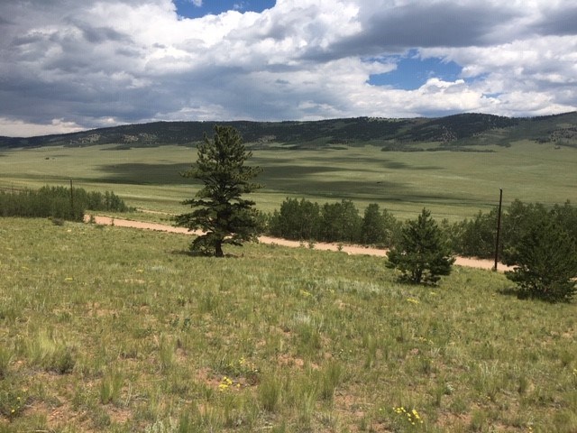 3701 Redhill Road Fairplay, CO 80440 - Photo 11 of 17 Gallery Image 11