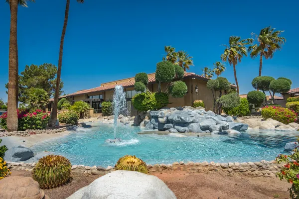 a view of a garden with plants
