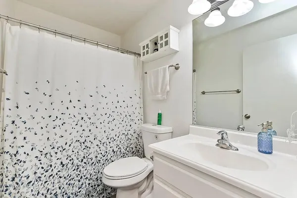 a bathroom with a sink a toilet a mirror a vanity and shower