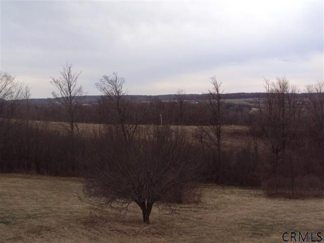 411 White Road Sharon, NY 13459 - Photo 6 of 11 Photo 6