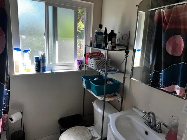 a bathroom with a sink and toilet