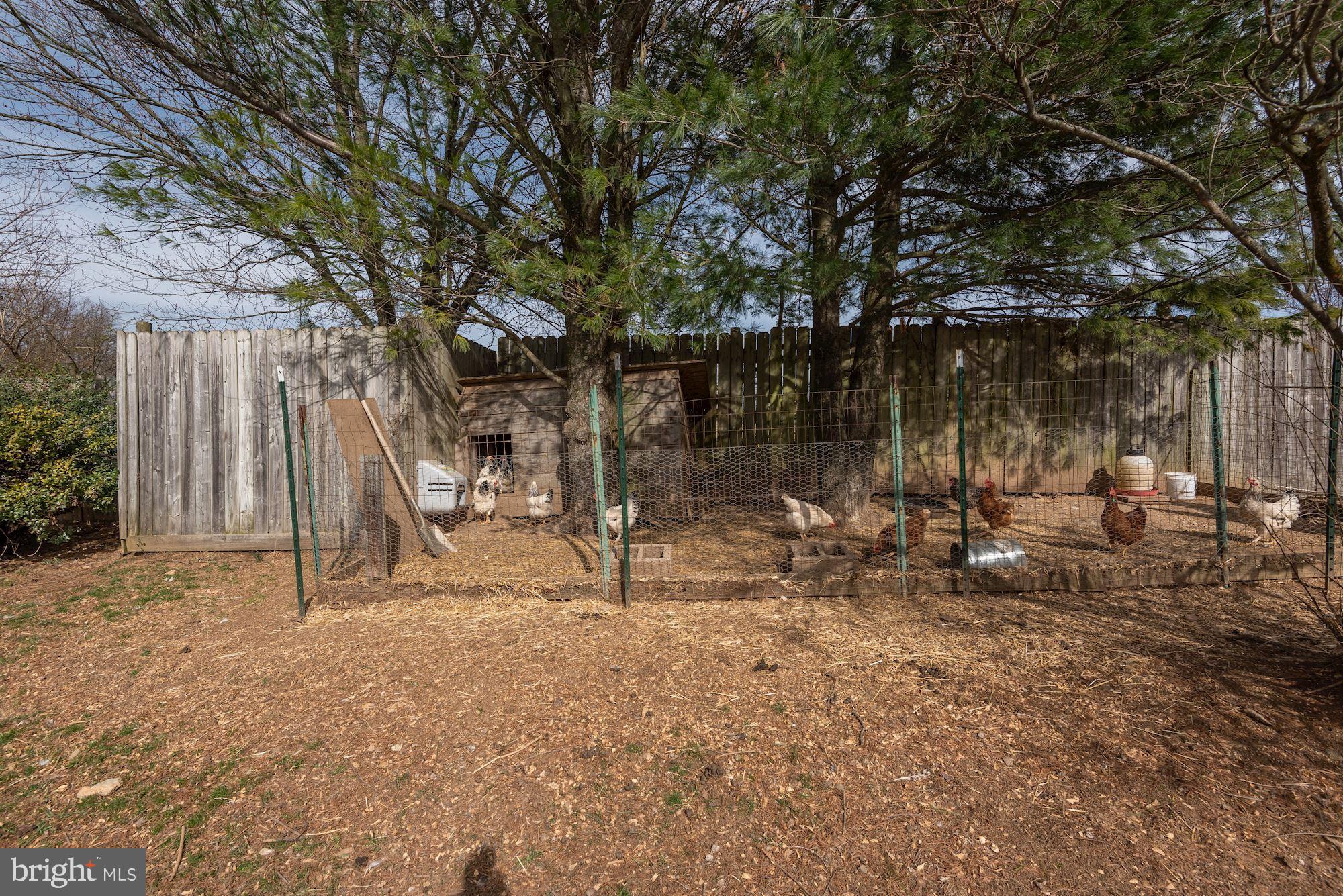 4249 Wine Road Westminster, MD 21158 - Photo 40 of 56 Chicken Coop
