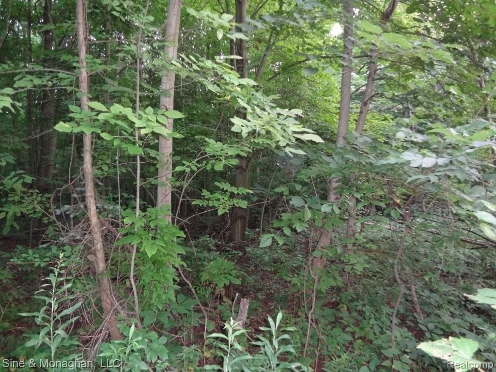 10213 Pound Road Columbus, MI 48063 - Photo 33 of 43 29.JPG