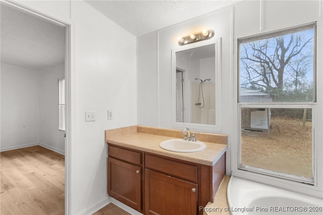 180 Branch Road Red Springs, NC 28377 - Photo 19 of 32 a bathroom with a sink and a mirror