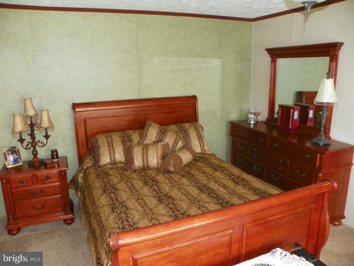 7283 Pearsons Corner Road Dover, DE 19904 - Photo 13 of 22 Bedroom - Main