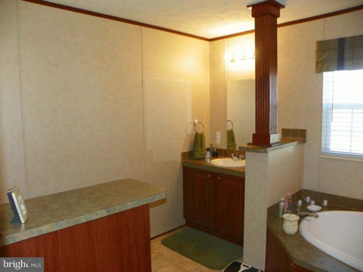 7283 Pearsons Corner Road Dover, DE 19904 - Photo 16 of 22 Master Bathroom